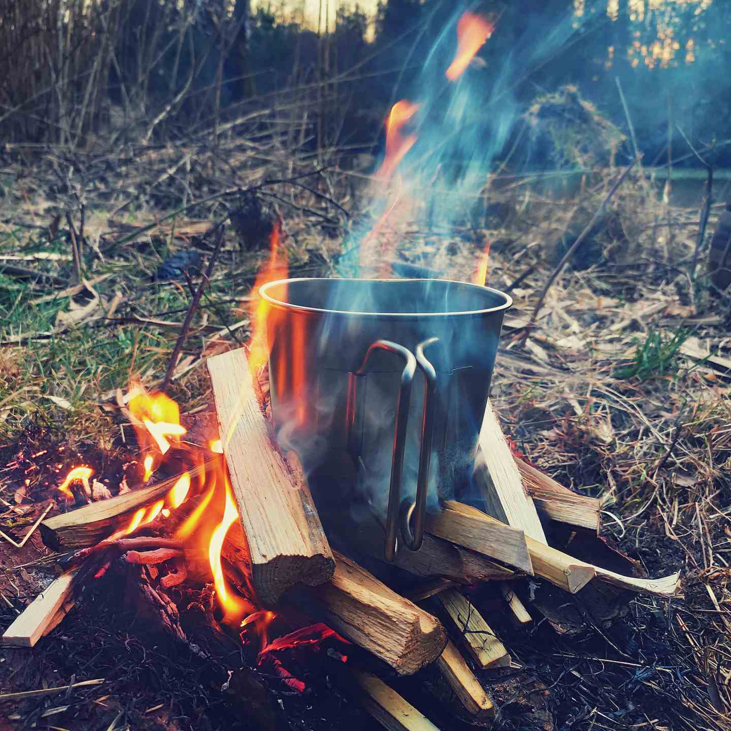 mok-vuur-thee-hout Mindset is alles. Of het nu op de Wim Hof Methode workshop of expeditie is